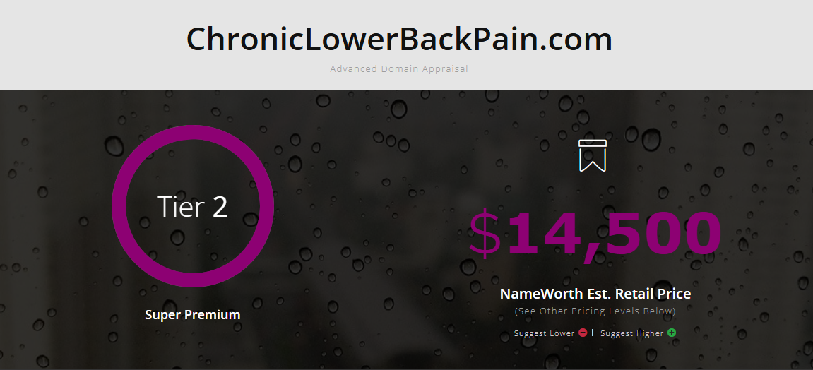 ChronicLowerBackPain.com Domain Appraisal